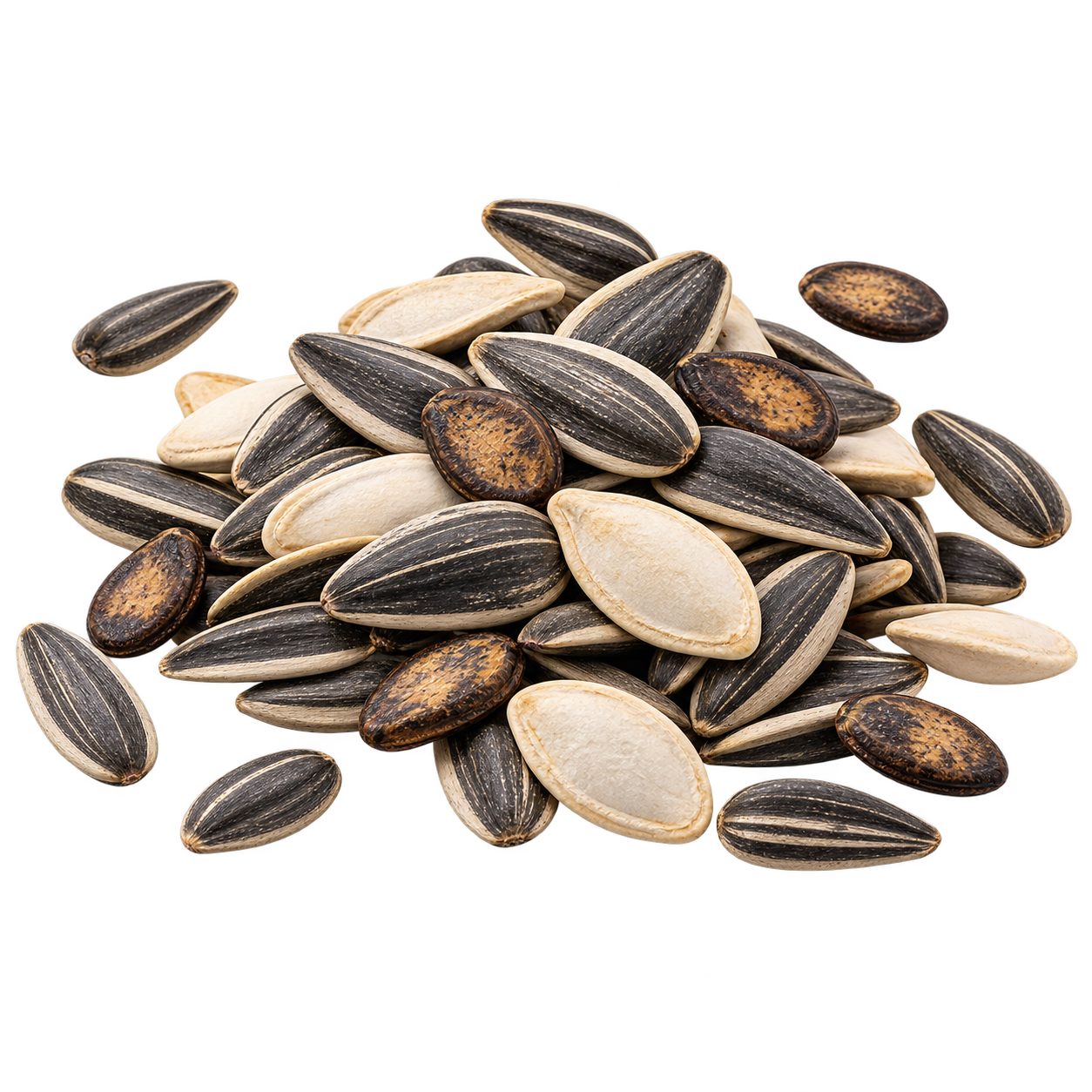 البذور — روزا بارك